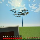 We found the end portal in java edition floating in flat world