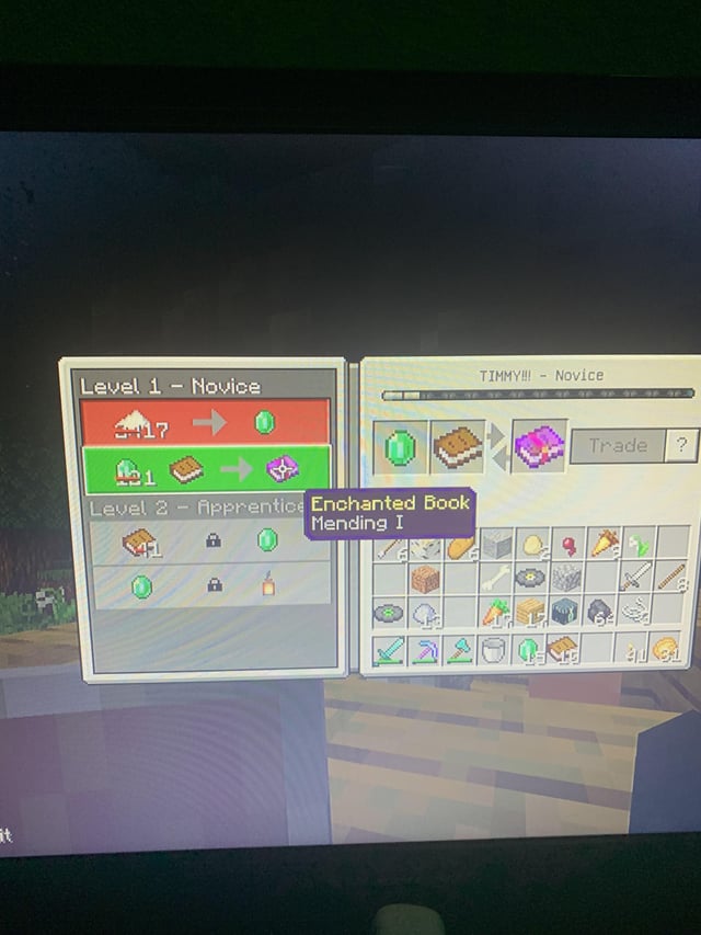 I tried curing a zombie villager and the first trade i got was mending