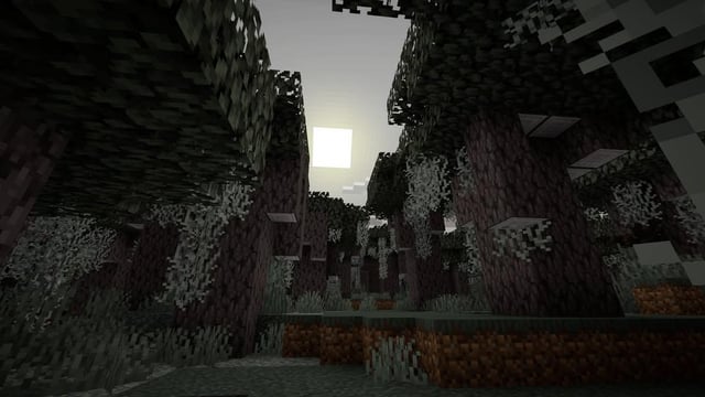 I think the Pale Garden would be the coolest setting to fight the Wither in