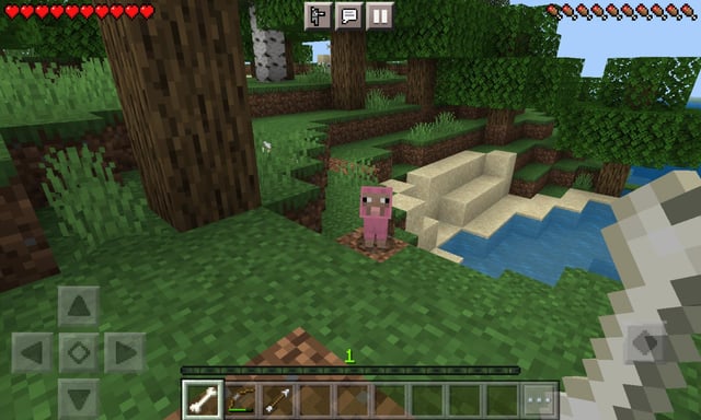 I think I found the rarest sheep in MCPE