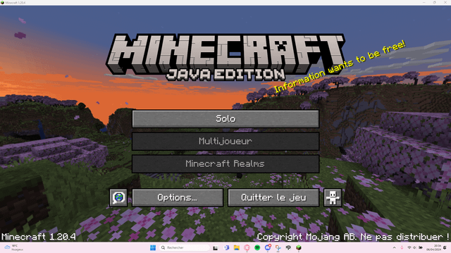 I just brought Minecraft but I can't play online, why? 