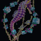 I'm getting into organics; here's my seahorse build!