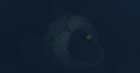 My bro said that scary monsters live in this lake, I wonder what he meant...