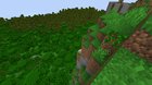 How on earth did this frog scale a VERTICAL CLIFF???