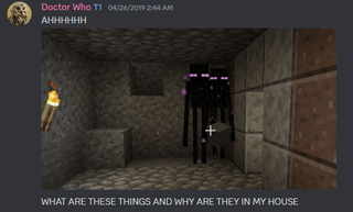 I found a discord screenshot from my first time playing Minecraft