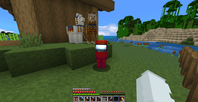 I never knew the texturepack I was using turned the wandering trader into an amoungus character!