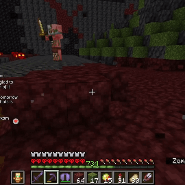 I call this Nether Jungle