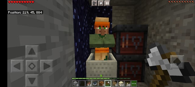 Villager unwilling to take the job? Not sure why though (1.18 Bedrock)