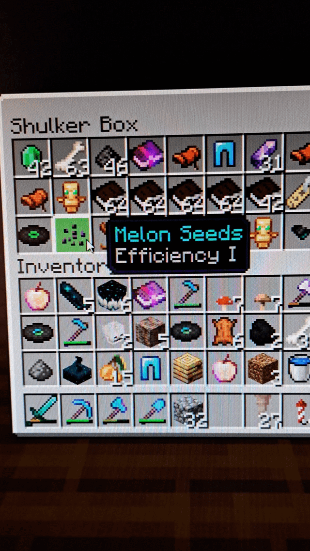 I found Enchanted Melon Seeds? [more in comments]