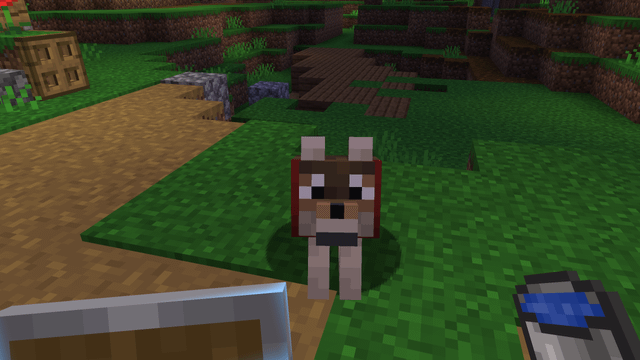 Found this lil' guy in my hardcore world, what should i name him? 