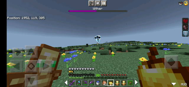 I beat the wither on my minecraft world :D